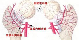 血管堵塞